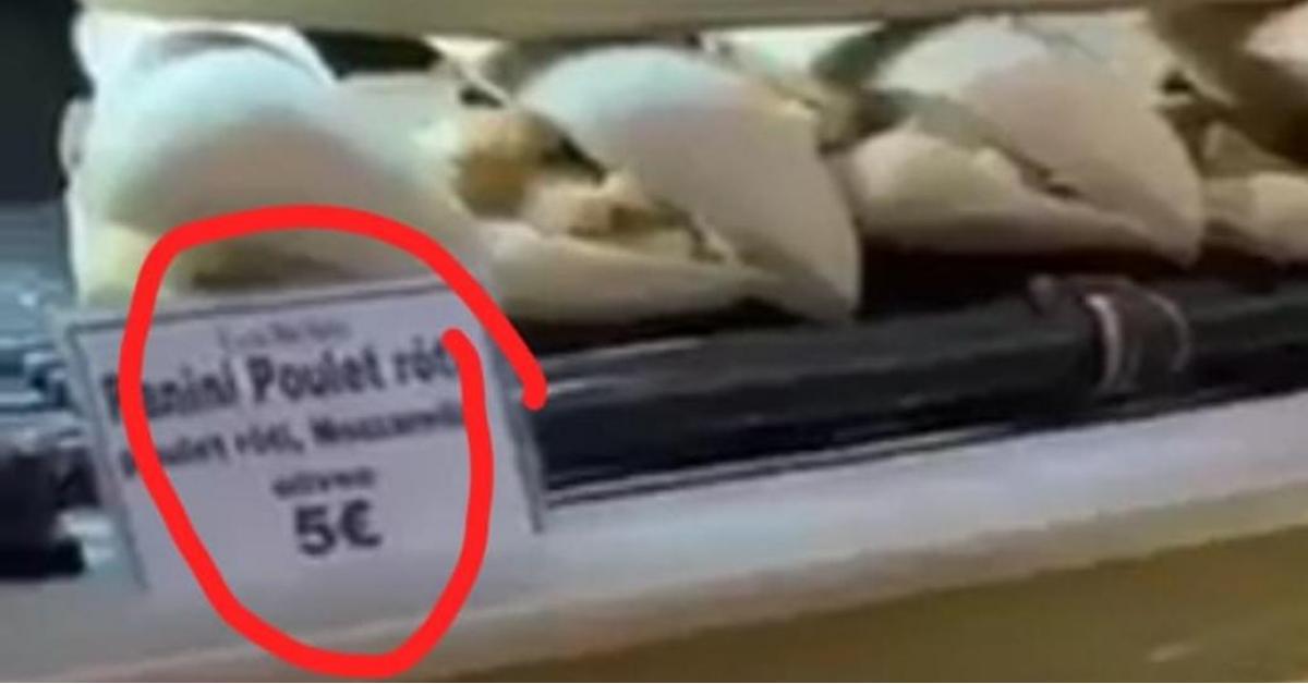 الغذاء والدواء تكشف حقيقة فيديو ’فئران المطعم‘ الذي يتداوله الاردنيون