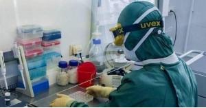 فيروس جديد شبيه بكورونا يقلق العلماء