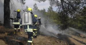 الدفاع المدني يخمد اكثر 174 حريق