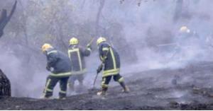 ضبط ثلاثة أشخاص و البحث عن رابع تعمدوا إشعال الحرائق