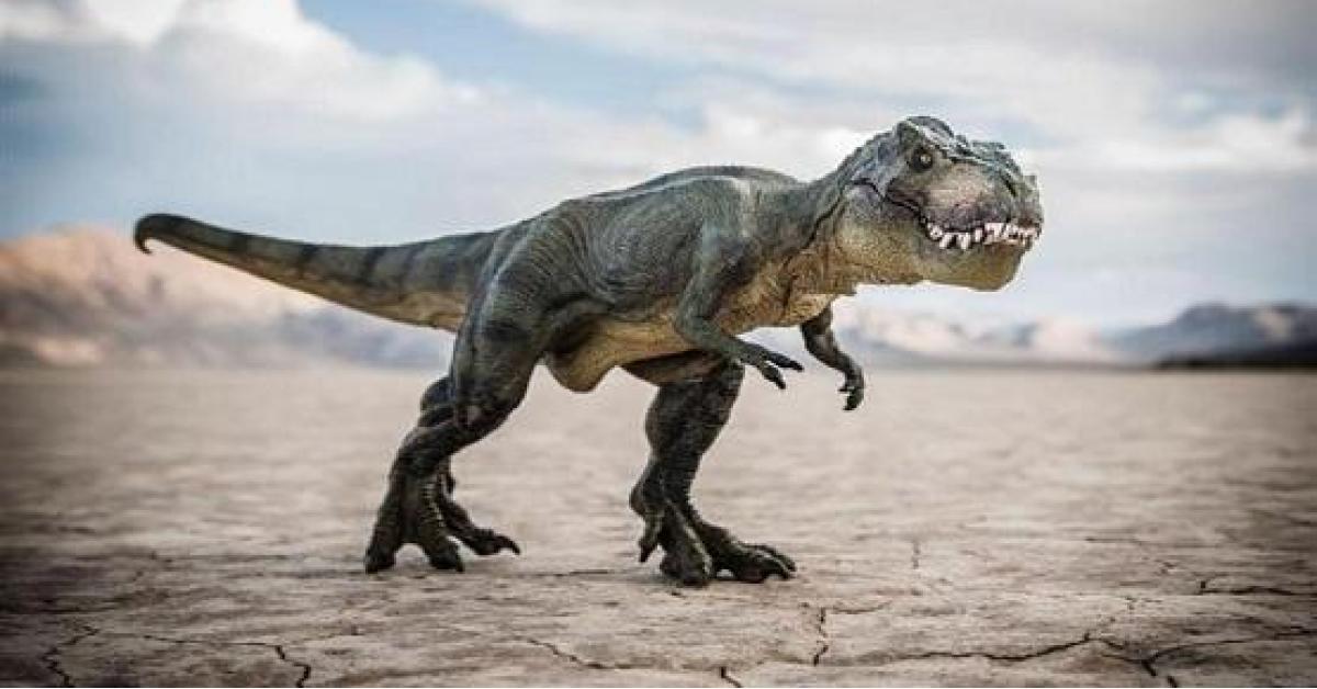 الكشف عن آخر وجبة لديناصور قبل 110 ملايين عام