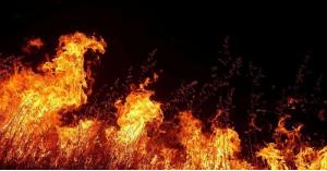 النيران تلتهم غابات كاليفورنيا وتهدد بنزوح جماعي