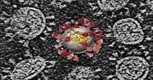 علماء صينيون يلتقطون صورا دقيقة لفيروس كورونا