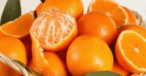 4 مسافرين يتناولون 30 كيلوجراما من البرتقال