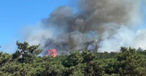 الدفاع المدني يحذر من اشعال النيران بالغابات