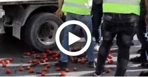 توضيح من أمانة عمان حول “فيديو المصادرات”