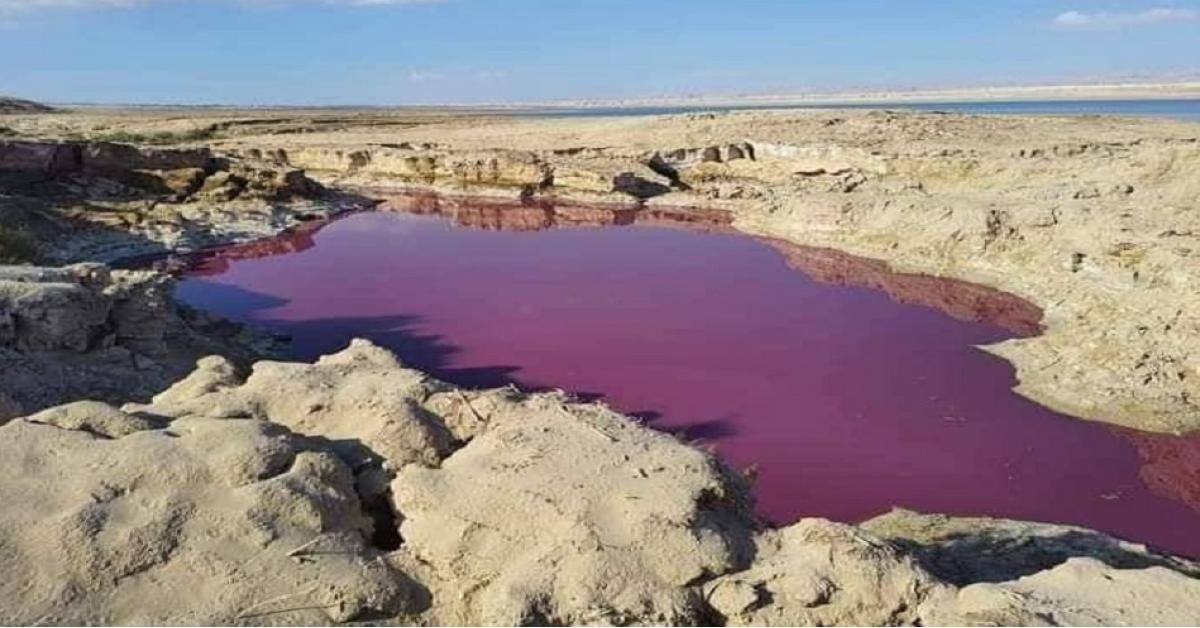 الكشف عن سبب تلون مياه البحر الميت بالاحمر