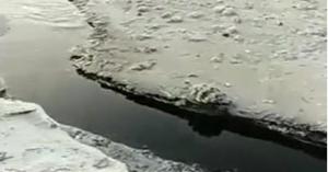 الطاقة: لا مواد نفطية بالسائل الأسود في فيديو البحر الميت