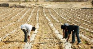 قرارات مهمة للعمالة الوافدة في الأردن