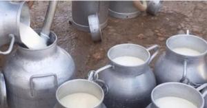الشمالي يطالب منتجي الحليب الطازج بالغاء تحديد السعر ويلوح باجراءات