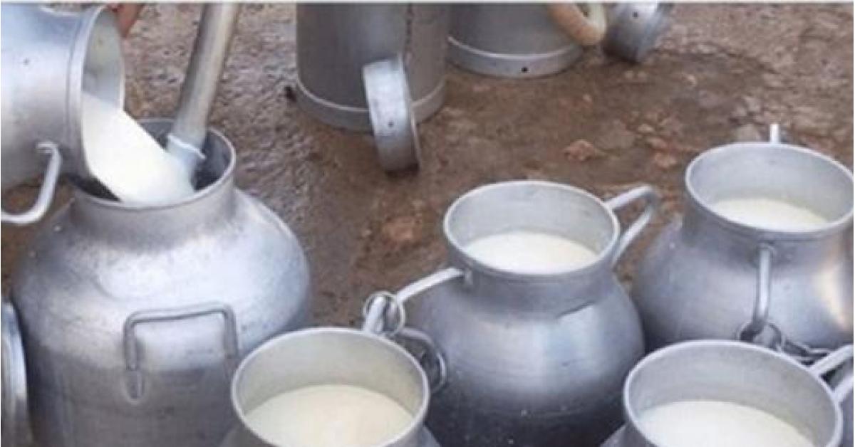 الشمالي يطالب منتجي الحليب الطازج بالغاء تحديد السعر ويلوح باجراءات