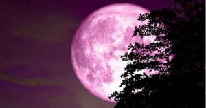 القمر الوردي يُزين سماء العالم مساءً