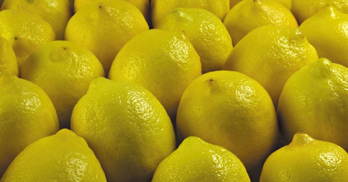 قفزة حادة بأسعار الليمون.. والأسعار تصل إلى 3 دنانير