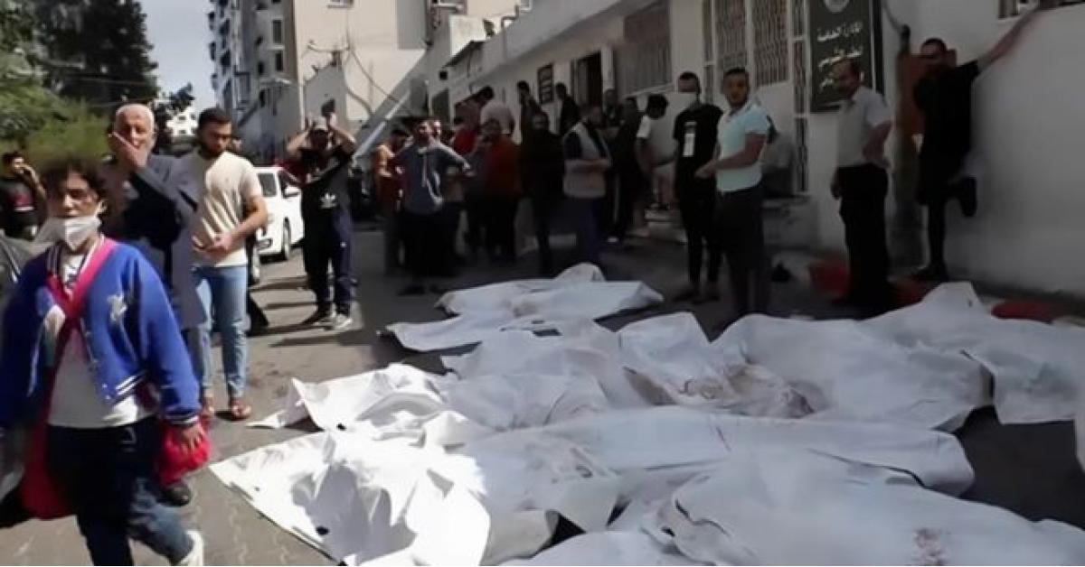 حصيلة جديدة لضحايا العدوان الإسرائيلي على غزة منذ 7 أكتوبر