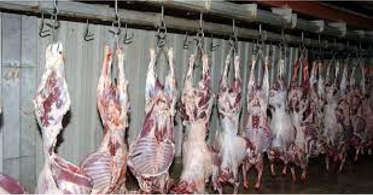 ارتفاع أسعار اللحوم محليا