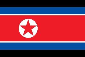 كوريا الشمالية تصدر عفوا عاما