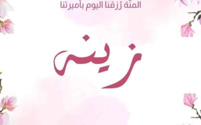 محمود سمحان يرزق بـ “زينة”