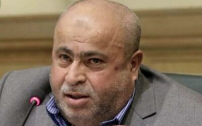 عطية : تصريح الملك باحترام خيارات الشعب السوري موقف متقدم وسبق كل المواقف