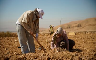 بنك ABC في الأردن يزرع أشجار مثمرة بالتعاون مع الجمعية العربية لحماية الطبيعة