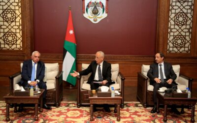 العيسوي: توجيهات ملكية بالاستمرار في تقديم المساعدات للأشقاء في غزة