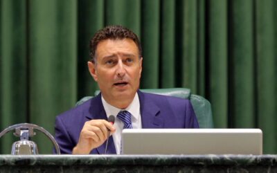 الصفدي يدعو الشعب الأردني لاستقبال الملك وولي العهد في المطار