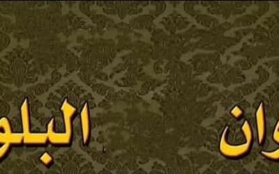 عشيرة البلوش تصدر بيانا تؤكد فيه أننا نحمي الوطن بدمائنا*