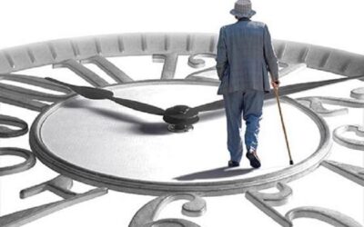 إحالة 5 محافظين إلى التقاعد – أسماء