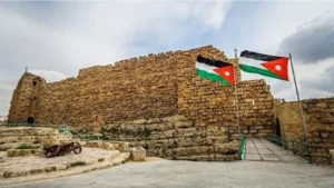 52025251126209264615