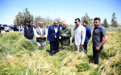 العيسوي: المشاريع تجسد رؤية شاملة لتعزيز الأمن الغذائي وتنمية البادية الاردنية