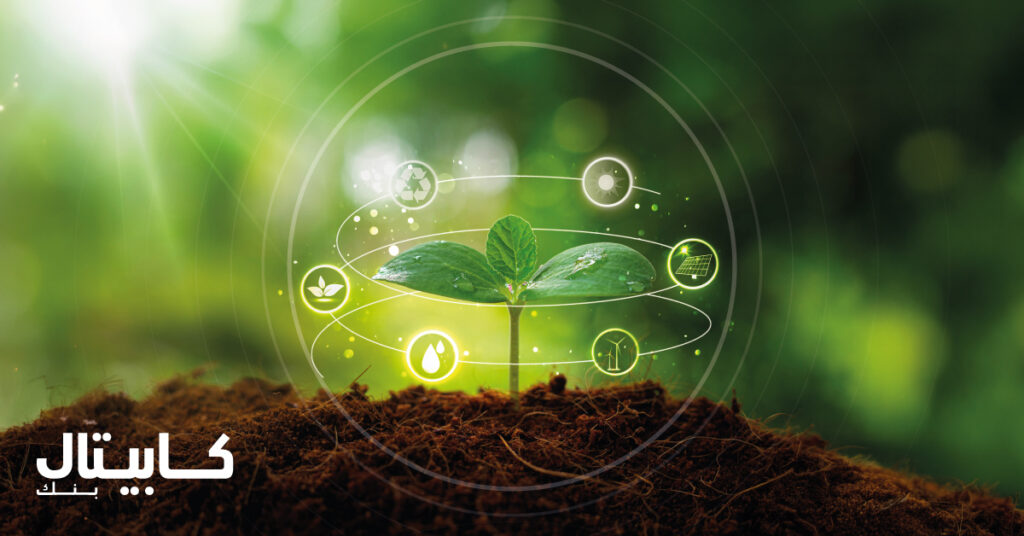 CB - Sustainability LinkedIn_1