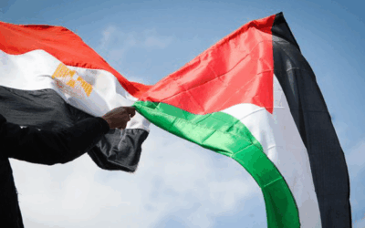 وسط المشهد المؤلم لغزة لم تقف القاهرة مكتوفة الأيدي