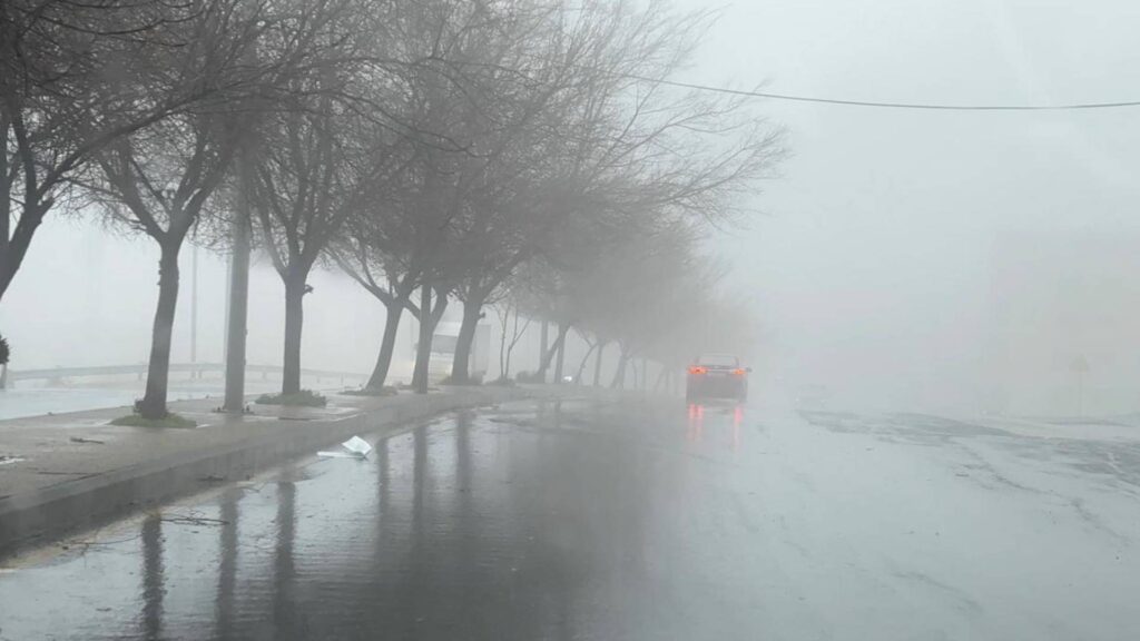 67b2c8eb569b61739770091