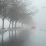 67b2c8eb569b61739770091