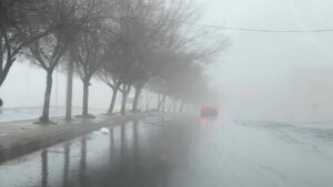 67b2c8eb569b61739770091