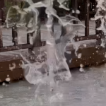 تصميم يلبي تطلعات صنّاع المحتوى: Galaxy S26 Ultra يغيّر مفاهيم التصوير الاحترافي مع ميزة ترميز APV