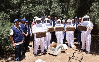 متطوعو “إمكان الإسكان” ينفذون مبادرات تنموية في عجلون