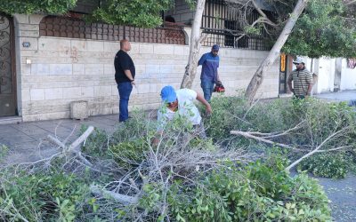 سلطة منطقة العقبة تنفذ حملة للارتقاء بالمشهد الحضري في المدينة