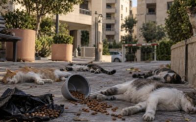 حين يموت من لا يستطيع الدفاع عن نفسه
