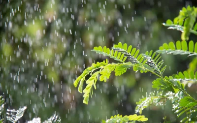 الأردن على موعد مع حالة ماطرة واسعة.. وتحذيرات من مخاطر السيول