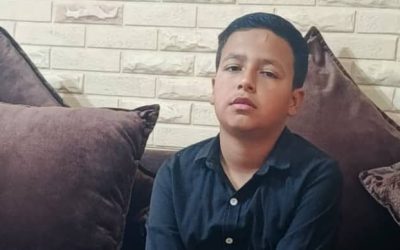 إصابة طفل إثر تعرضه لعقر كلب ضال في وادي موسى